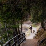 A father and child enjoy a walk with their dog on a scenic forest trail in autumn.